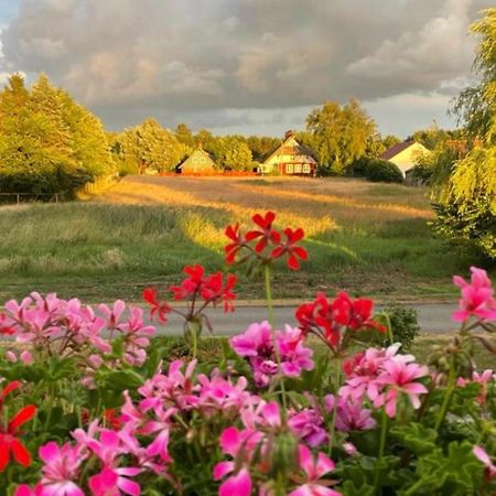 Zur Alten Boddenfischerei Ferienwohnung Heidezauber Neuendorf Heide Esterno foto