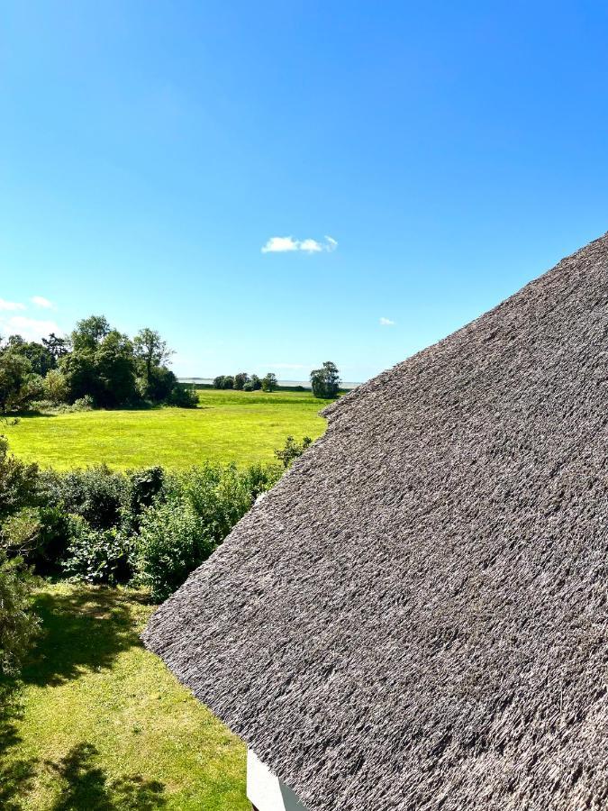 Zur Alten Boddenfischerei Ferienwohnung Heidezauber Neuendorf Heide Esterno foto
