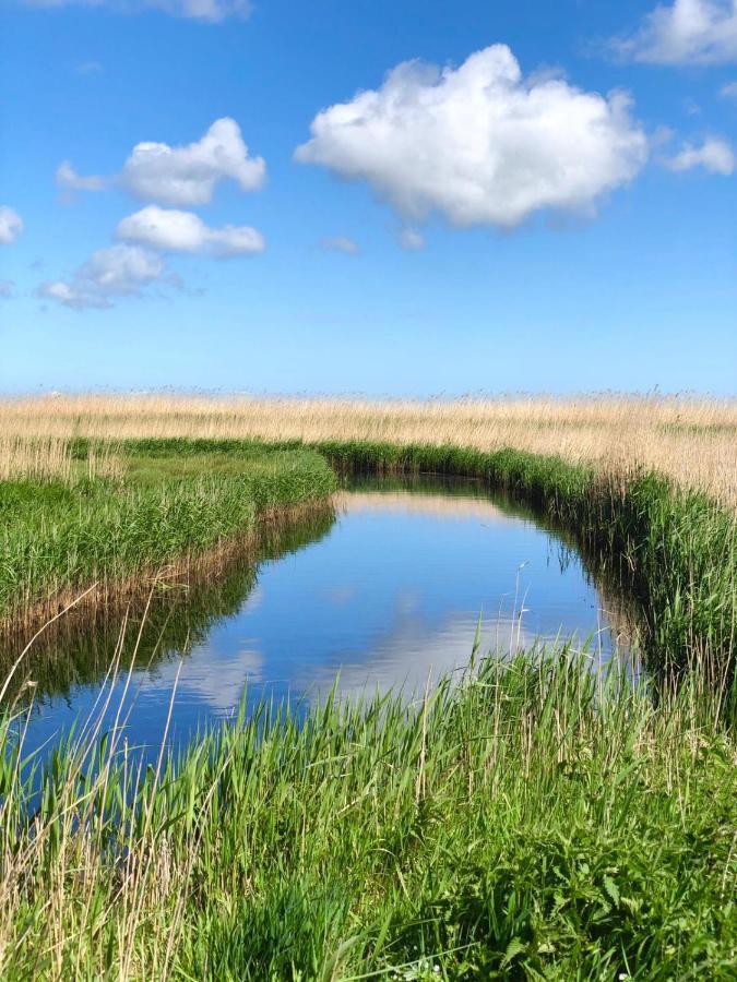 Zur Alten Boddenfischerei Ferienwohnung Heidezauber Neuendorf Heide Esterno foto
